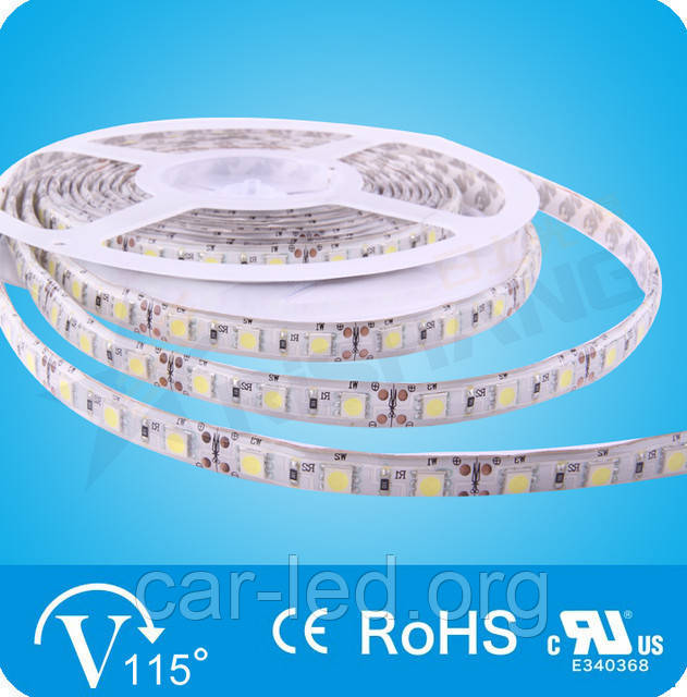 Синий 14,4W SMD5050 (60 LED/м) (B) 465-470nm Outdoor IP64 Premium