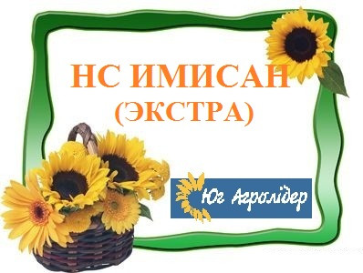 Насіння соняшнику НС ІМІСАН (Екстра), A-Е Юг Агролідер