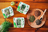 Зелений САЛАТ Мікрозелень, насіння салату органічні для пророщування 30 грамів, фото 3