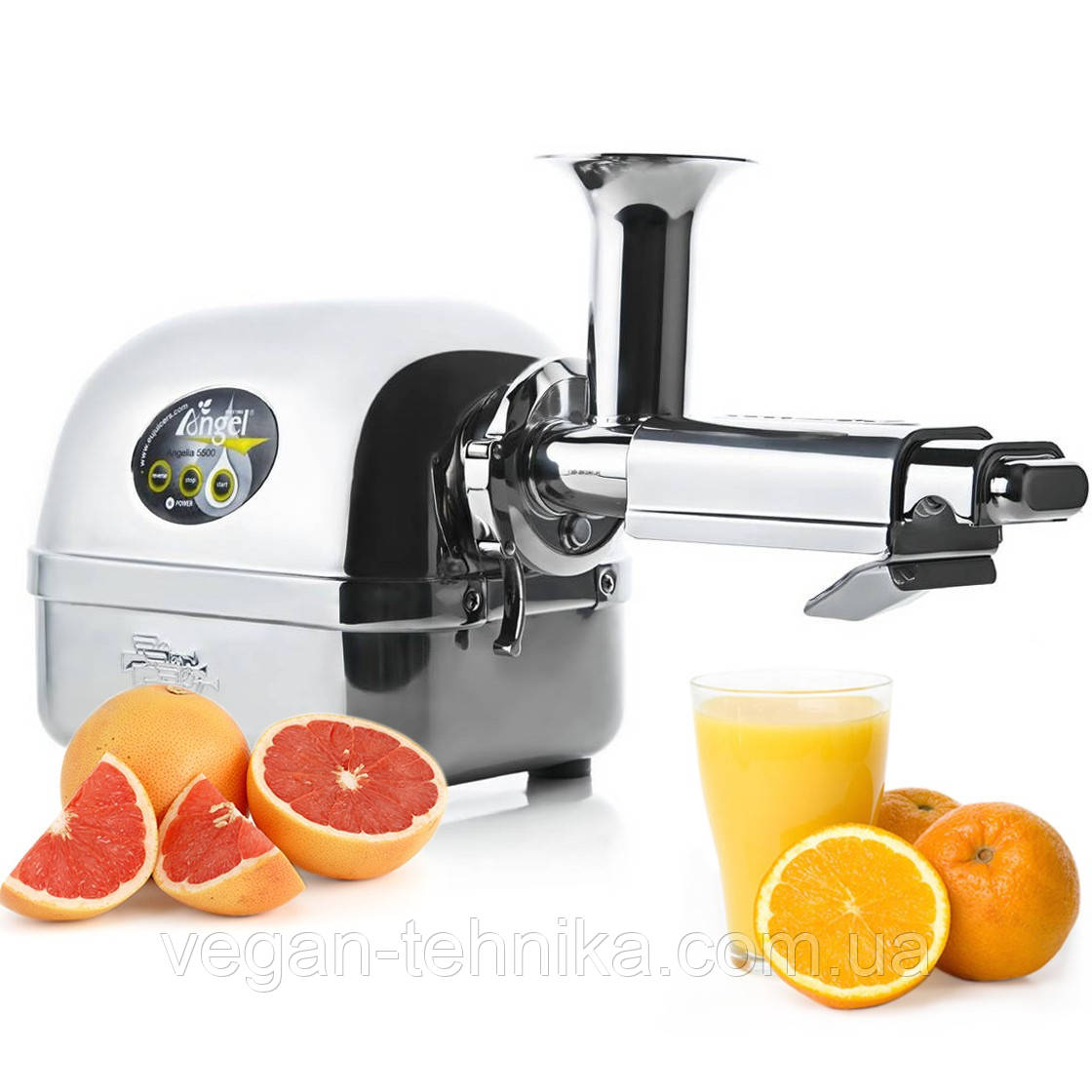 Двошнекова соковижималка Angel Juicer 5500