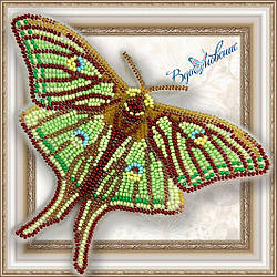 Метелик із бісеру вишивка на пластиковій основі Грілсія Ізабелли (BGP016)