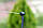 Крапельниця садова Presto-PS "Туман" 12 л/год 100шт (МТ-0208), фото 6