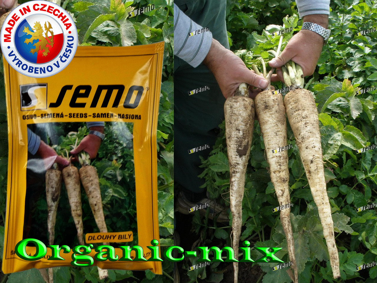 Насіння, Пастернак БІЛИЙ, ДІННИЙ від ТМ SEMO (Чехія), проф-пакет 50 грамів