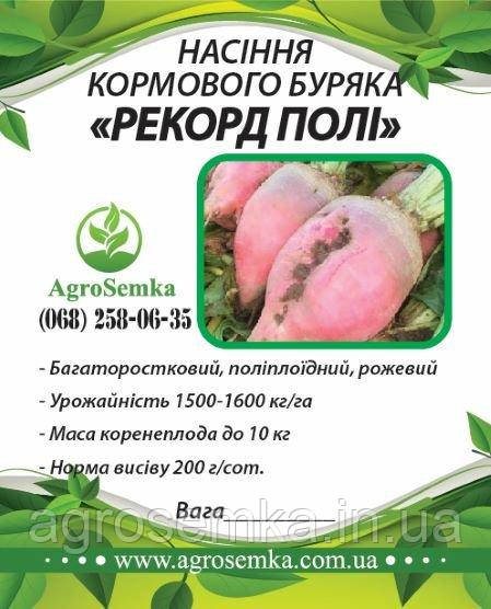 Насіння буряка кормового "Рекорд Полі" (Польща) / 1кг, фото 1