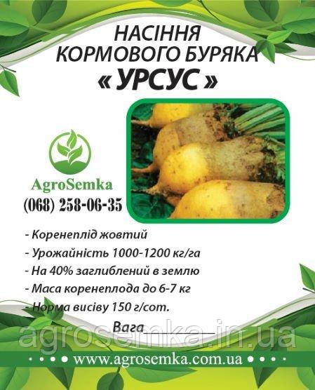 Насіння буряка кормового "Урсус" ( Україна ) / 1кг, фото 1