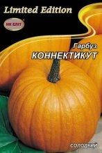 Насіння Гарбуз Коннектикут 10г