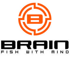 Підсаки Brain