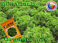Салат дубовый зеленый Дубаголд / Dubagold, TM Semo (Чехия) Проф. фасовка 5 грамм