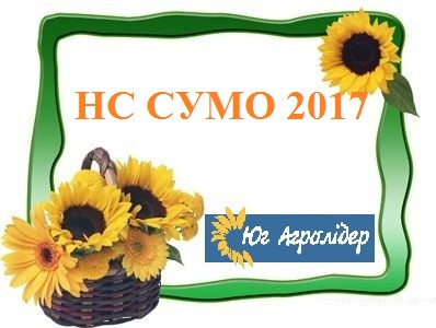 Насіння соняшнику НС СУМО A-Е Юг Агролідер