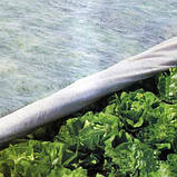 Агроволокно Агротекс 3,2х50, 30 щільність, фото 2