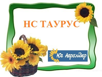 Насіння соняшнику НС ТАУРУС, A-Е, Юг Агролідер Євролайтинг