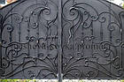 Елітні ковані ворота з листочками, фото 2