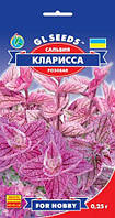 Сальвія Кларисса рожева чарівна кущиста ефектна в групових посадках, паковання 0,25 г