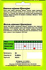 Насіння Фасоль зернове Мармурове, 10 г, фото 3