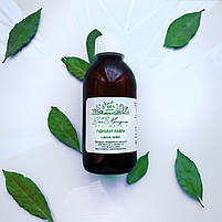 Гідролат лавра Laurus Nobilis Leaf Water, фото 3