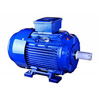 MS / Y3 "PROMOTOR" (Польща), 1500об/хв, 3-фазні