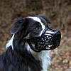 Trixie (Тріксі) Пластиковий намордник для собак з нейлоновою застібкою XS 14см, фото 2