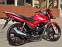 Мотоцикл GEON Pantera 202 CBF , фото 10