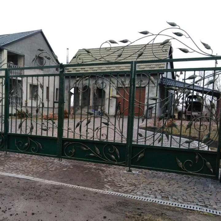 Ворота кованые Трускавець, Трускавець плюс
