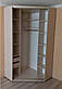 Шафа-купе кутова 1000х1000х2200, 2 двері (Алекса), фото 9