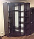Шафа-купе кутова 1000х1000х2200, 2 двері (Алекса), фото 8