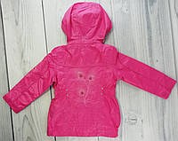 Куртка. Ветровка для девочек Малиновый Полиэстер/Хлопок Baby Line 4 года, рост 104 см