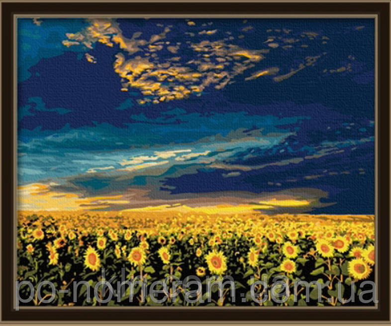 Картина за номерами Menglei Вечірнє небо MG042 40 х 50 см, фото 1