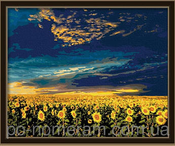 Картина за номерами Menglei Вечірнє небо MG042 40 х 50 см