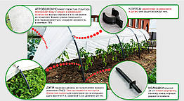 Теплиця 6 м 42 щільність "Агролідер" для дачі, готові парники та теплиці з агроволокна