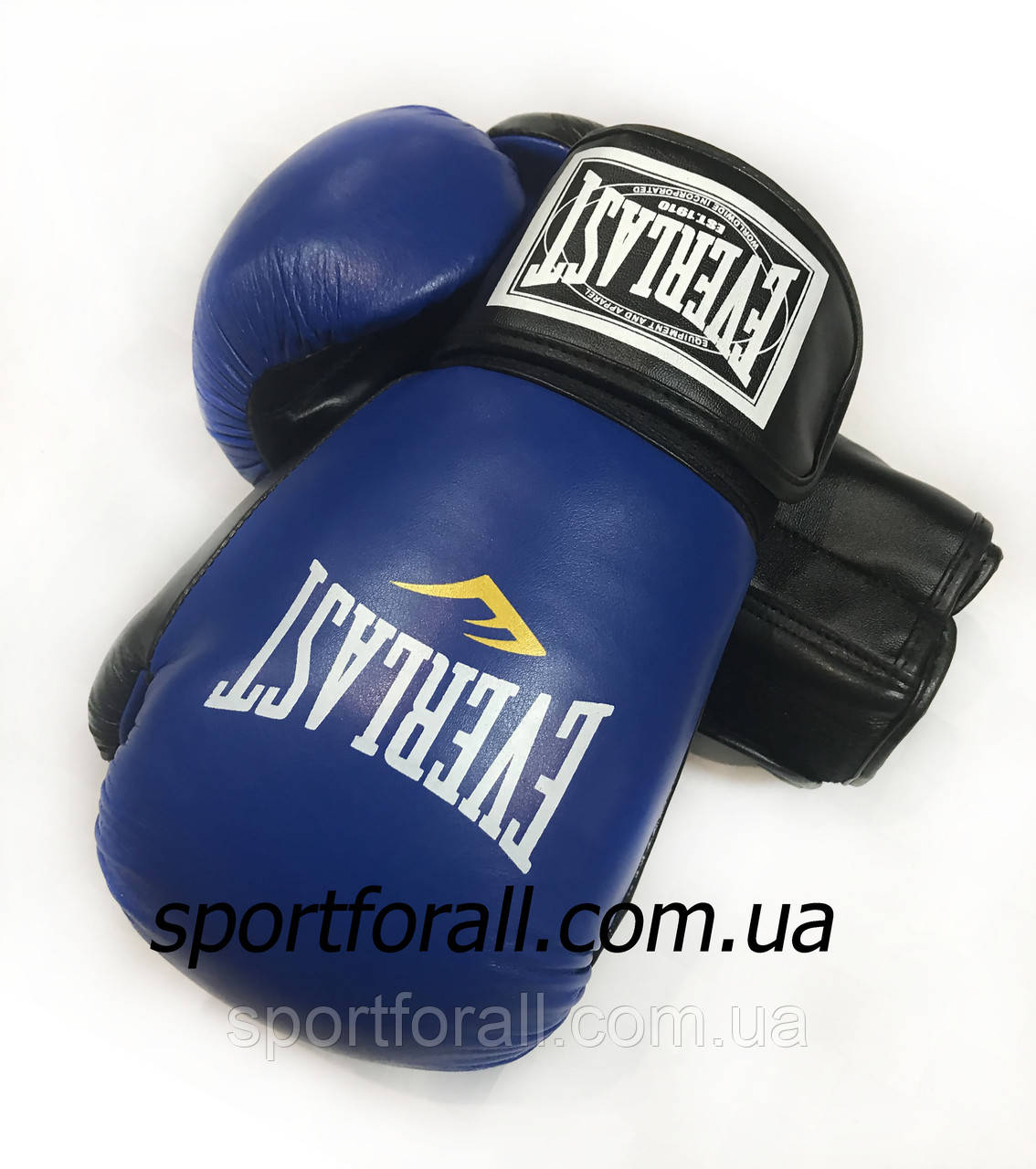 Боксерські рукавички EVERLAST (ШКІРА) 10ун.
