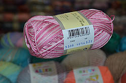 Бегонія меланж 5338