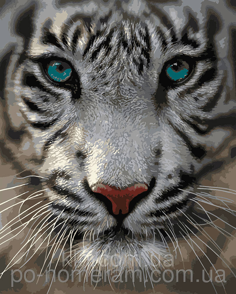 Картина за номерами Menglei Блакитно-очі MG1004 40 х 50 см, фото 1