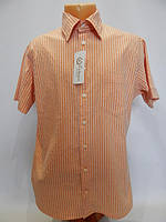 Рубашка мужская с коротким рукавом H.Tico (только в указанном размере, только 1 шт)