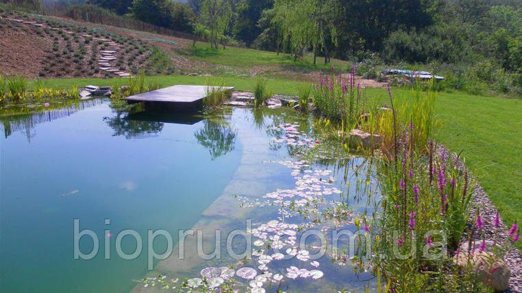 Будівництво Екопрудів., фото 2