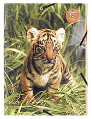 Папка на резинках картонная Wildlife EXACOMPTA А4
