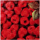 Декор Orly Raspberry W 100*100