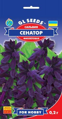 Сальвія Сенатор ефектний декоративний сорт з яскраво-фіолетовими суцвіттями, упаковка 0,2 г