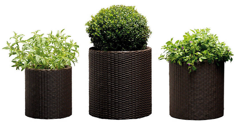 Набір горщиків для квітів Keter Cylinder Planter Set, коричневий, фото 1