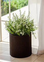 Горщик для квітів Keter 7 л. Cylinder Planter Small, коричневий, фото 2