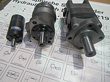 Гідромотори OMS315- MS315-OMSW315K для комунальної техніки