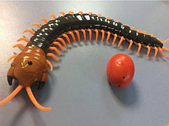 Радіокерована Сороконіжка Robo на дистанційному управлінні  Чорный з червоним