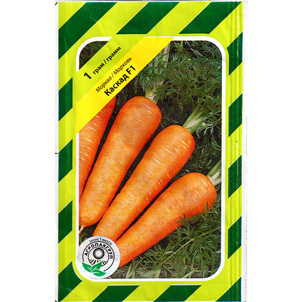 Насіння моркви середньопізньої, солодкої і смачної "Каскад" F1 (1 г) від Bejo, Голландія