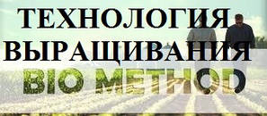 Технологія вирощування "bio method"