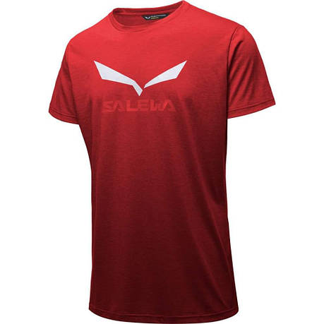 Футболка Salewa Solidlogo Dri-Release, фото 2