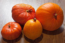 Насіння Гарбуза сорт Делікатесна 0.5 кг ТМ Агролиния