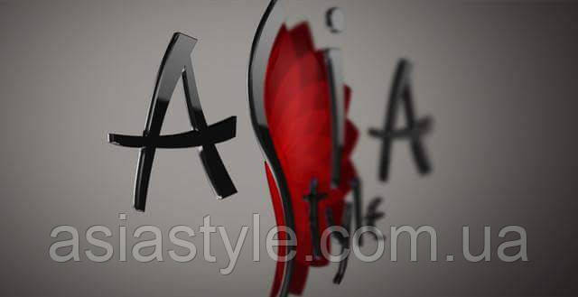 Франшиза від AsiaStyle.