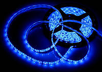 Світлодіодна Led-стрічка 24 V 5 м (вологозахисна) колір Синій (Blue)