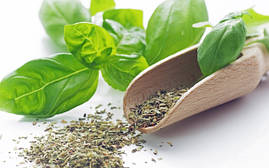 Базилік мелений