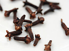 Гвоздика бутон