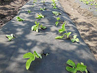 Агроволокно Agreen 50 черное (3,2 х 100 м), защита от сорняков